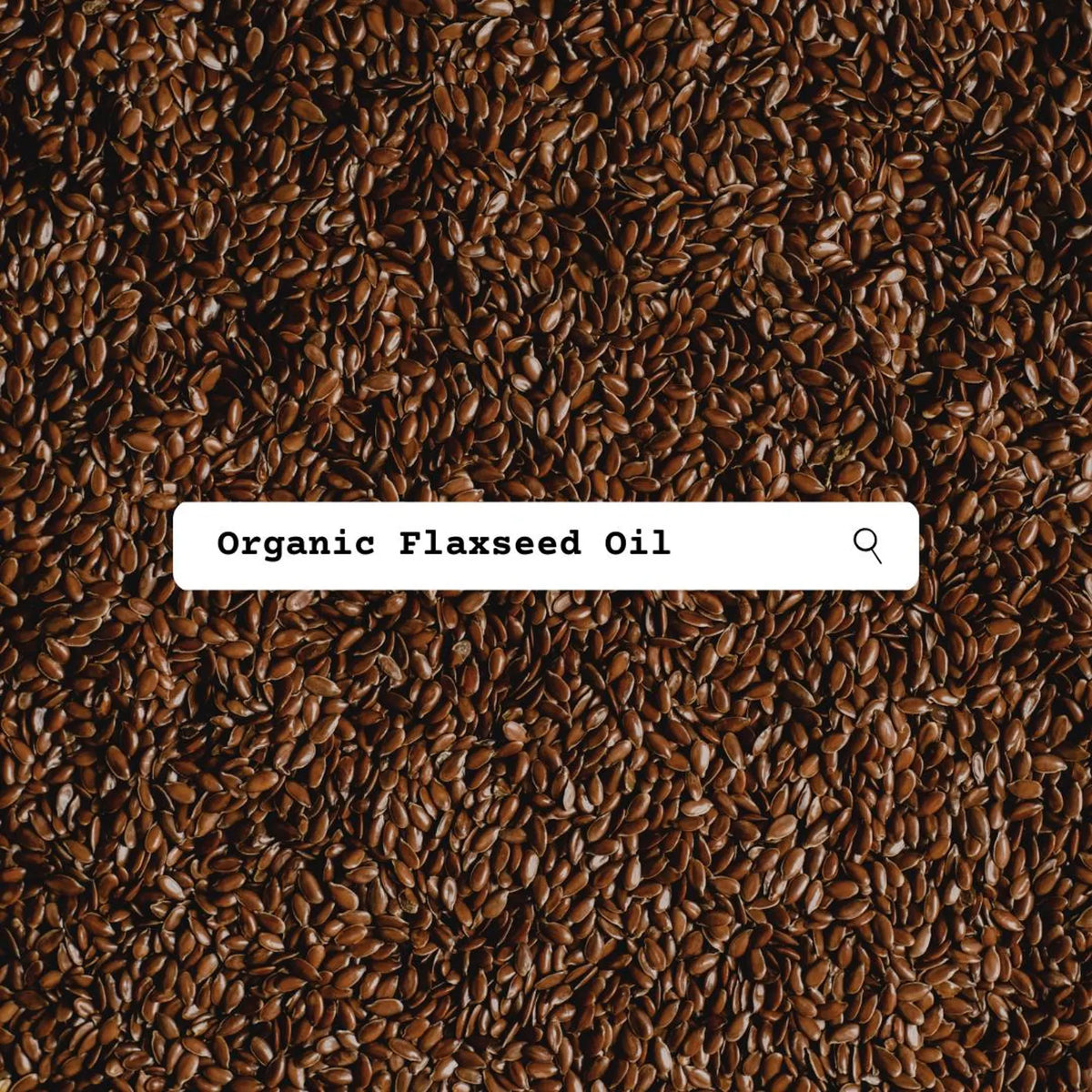 Close-up of organic flaxseeds with a search bar overlay.