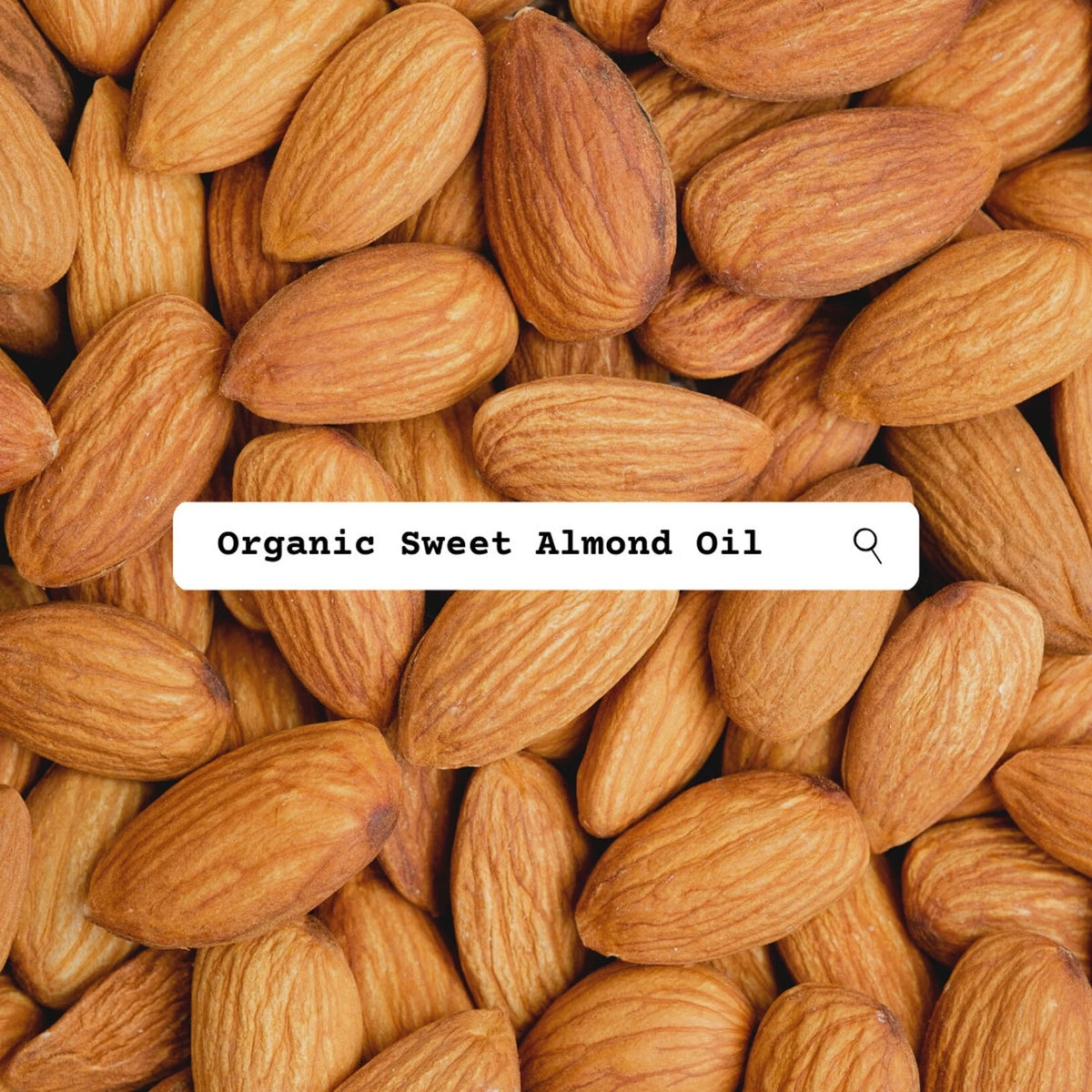 Close-up of almonds with a search bar overlay displaying 'Organic Sweet Almond Oil'.