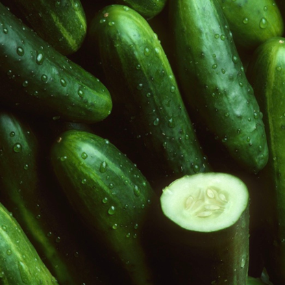 A close-up of several dark green cucumbers with water droplets, including one cut end showing the pale inner flesh and seeds.