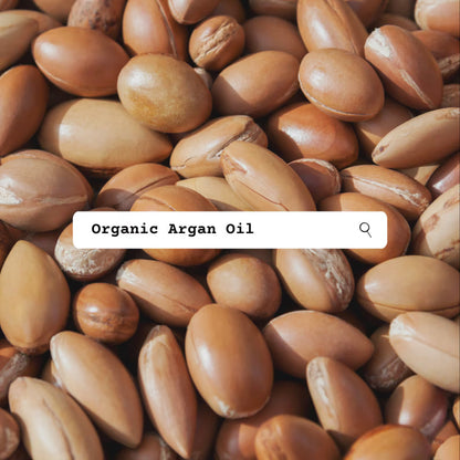 Close-up of argan oil seeds with a search bar overlay displaying 'Organic Argan Oil'.