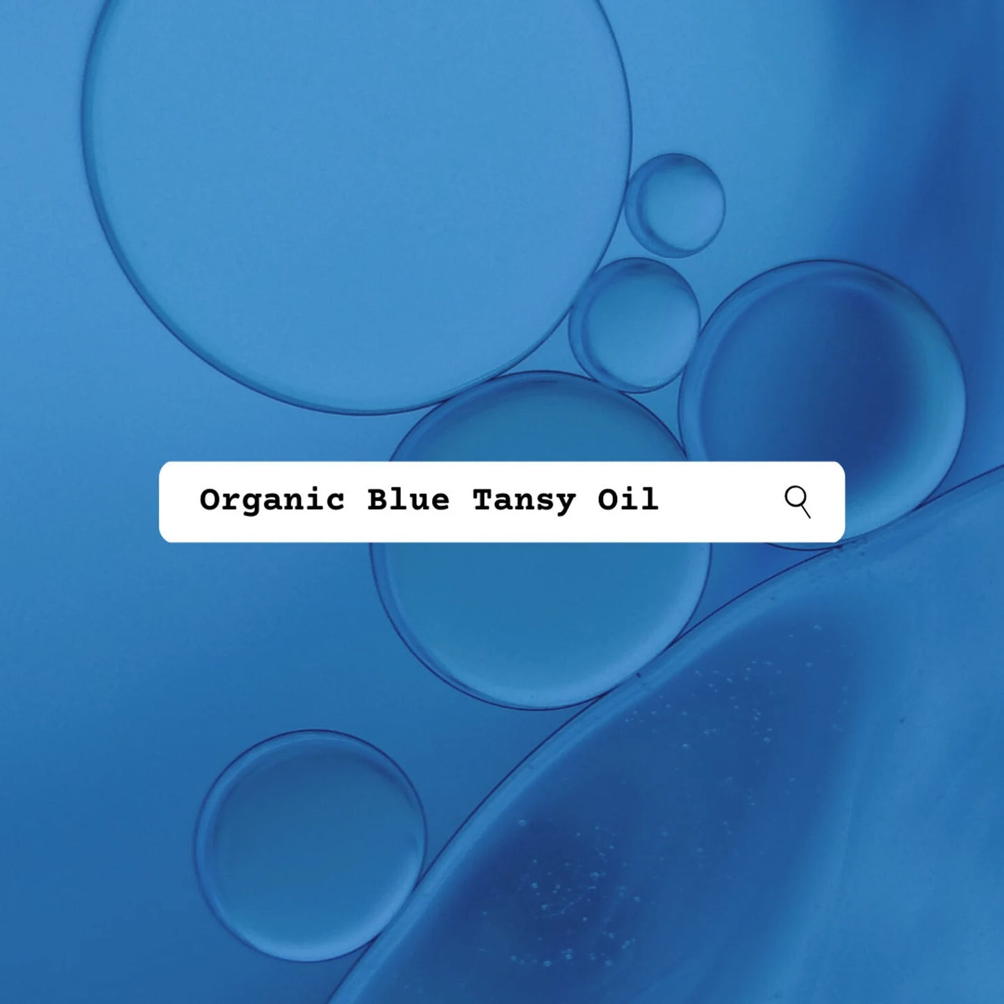 Blue background with organic blue tansy oil text and search icon