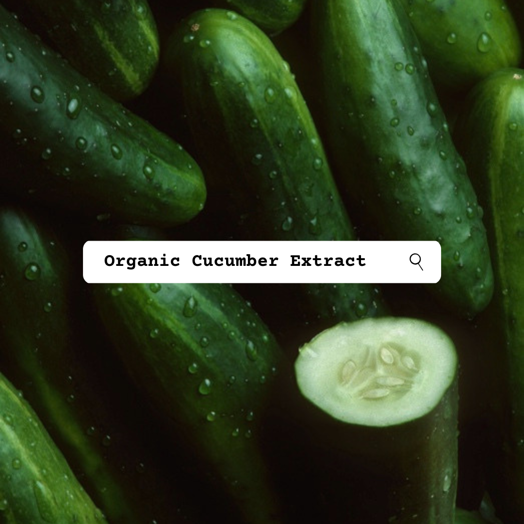 A close-up background of fresh green cucumbers with water droplets, including a cut cucumber showing the pale interior, with a white label reading 'Organic Cucumber Extract' across the center.