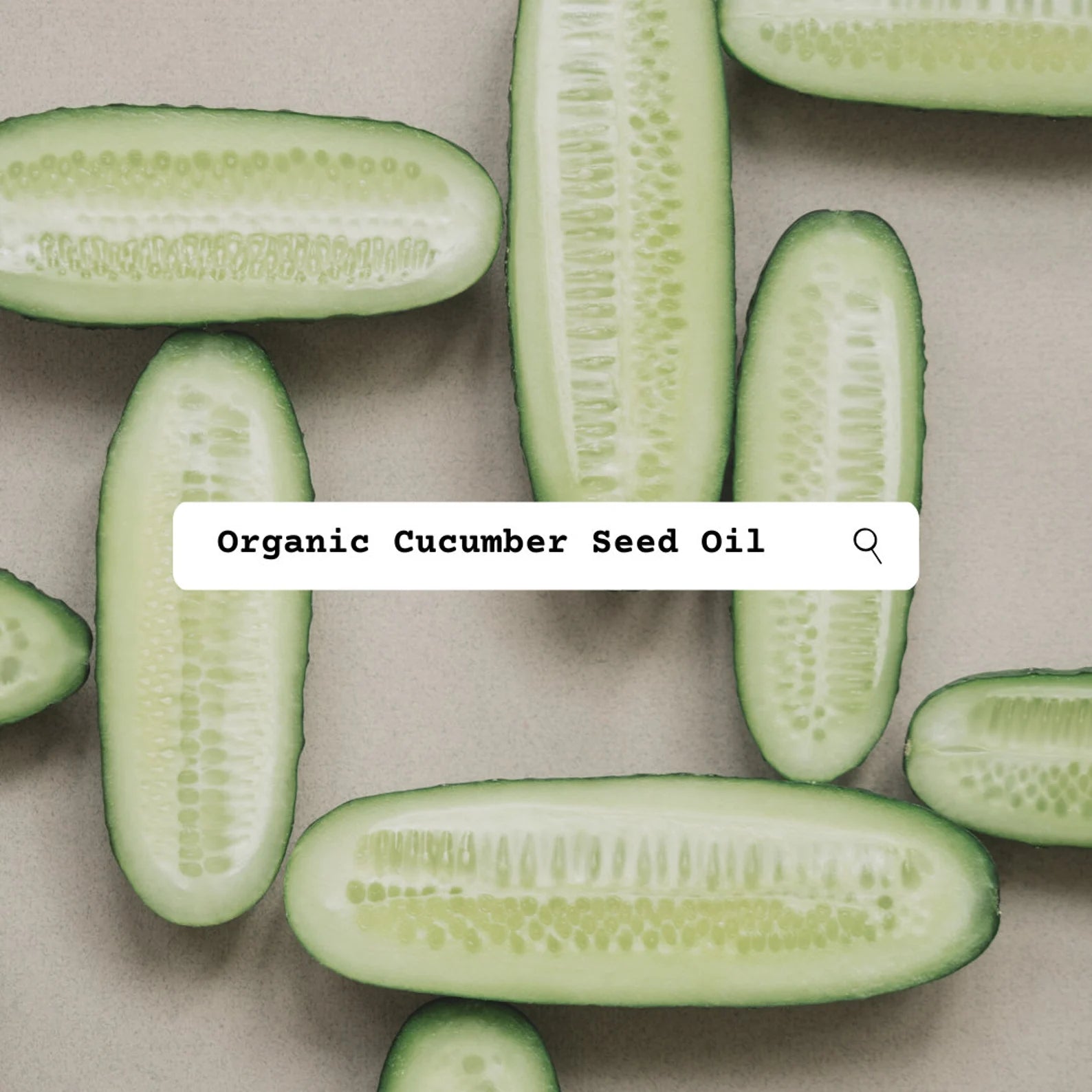Organic Cucumber Seed Oil Ingredient