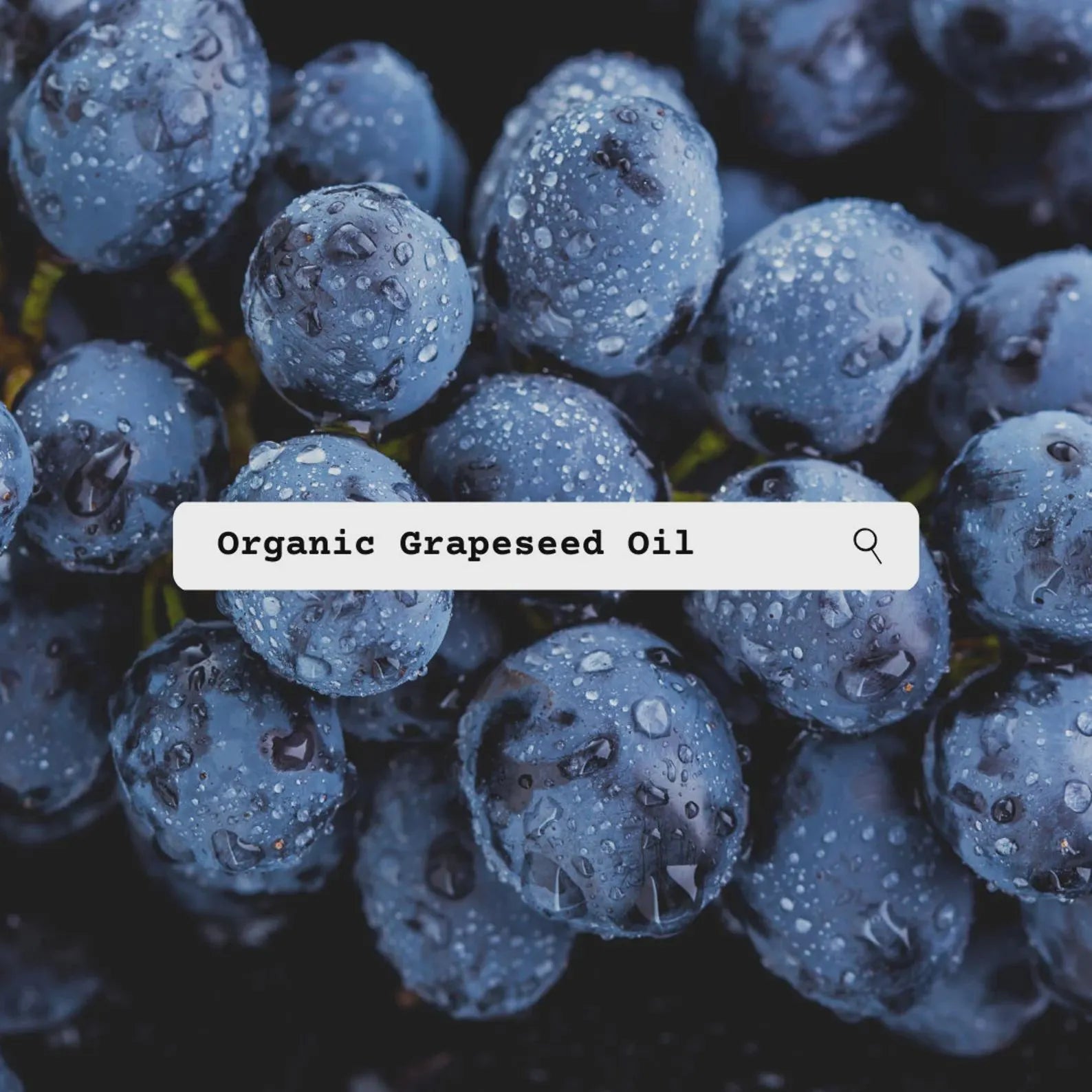 Close-up of organic grapeseed oil with a search bar overlay