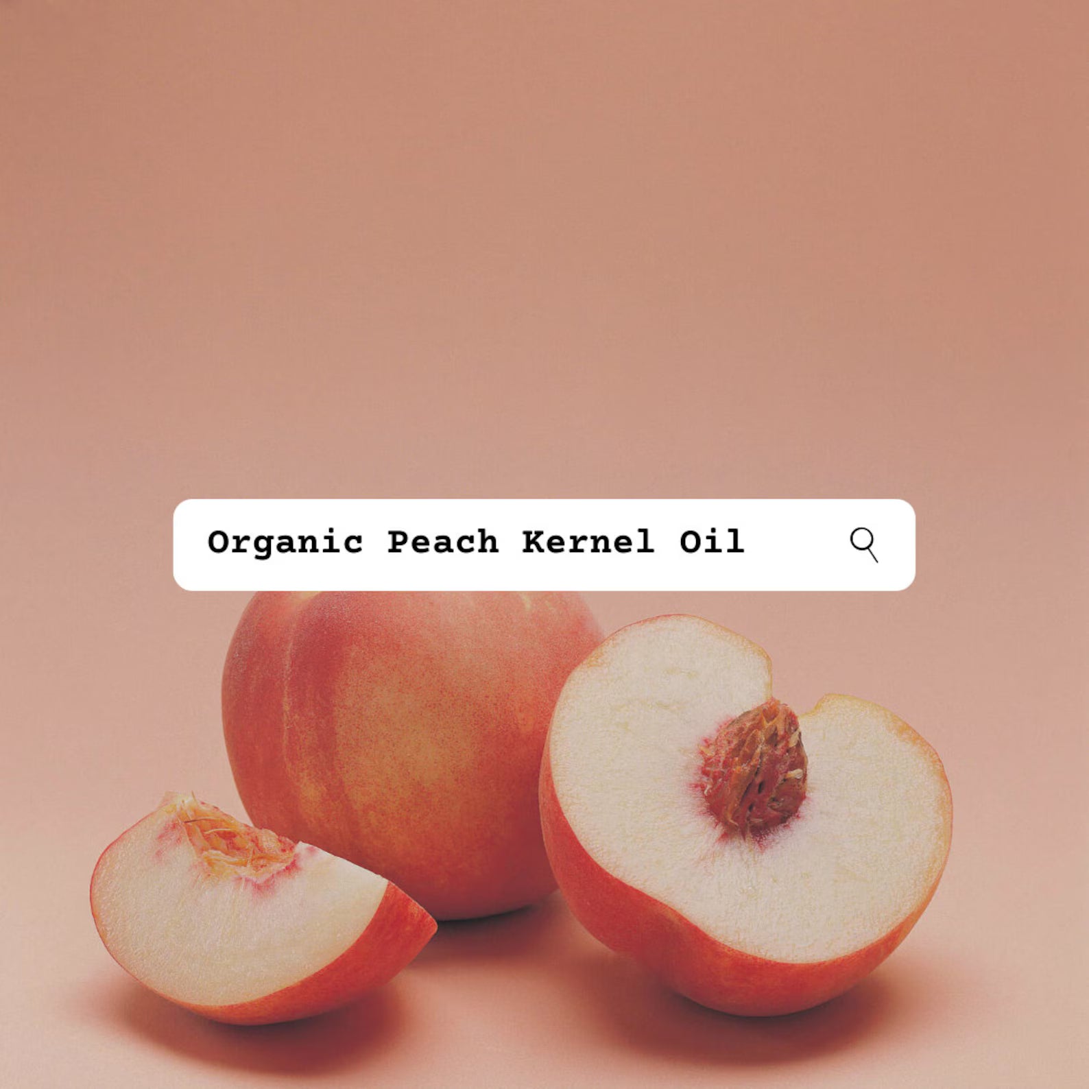 Peaches with a search bar overlay on a peach-colored background