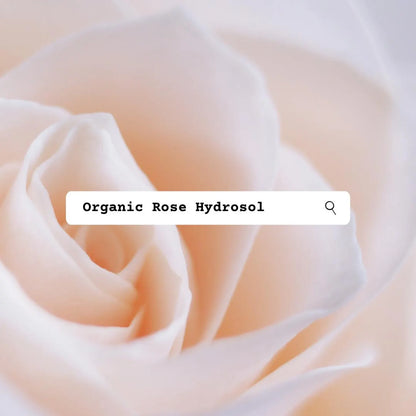Close-up of a pink rose with 'Organic Rose Hydrosol' text overlay.