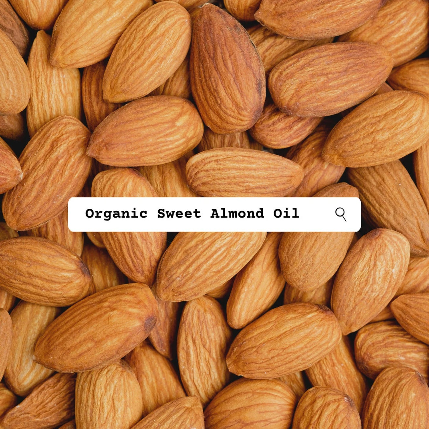 Close-up of almonds with a search bar overlay displaying 'Organic Sweet Almond Oil'.