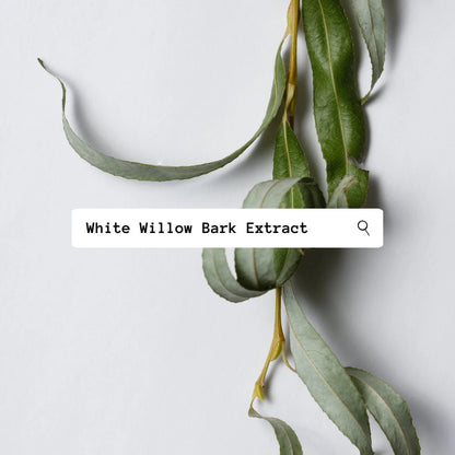 White willow bark extract with leaves on a light background