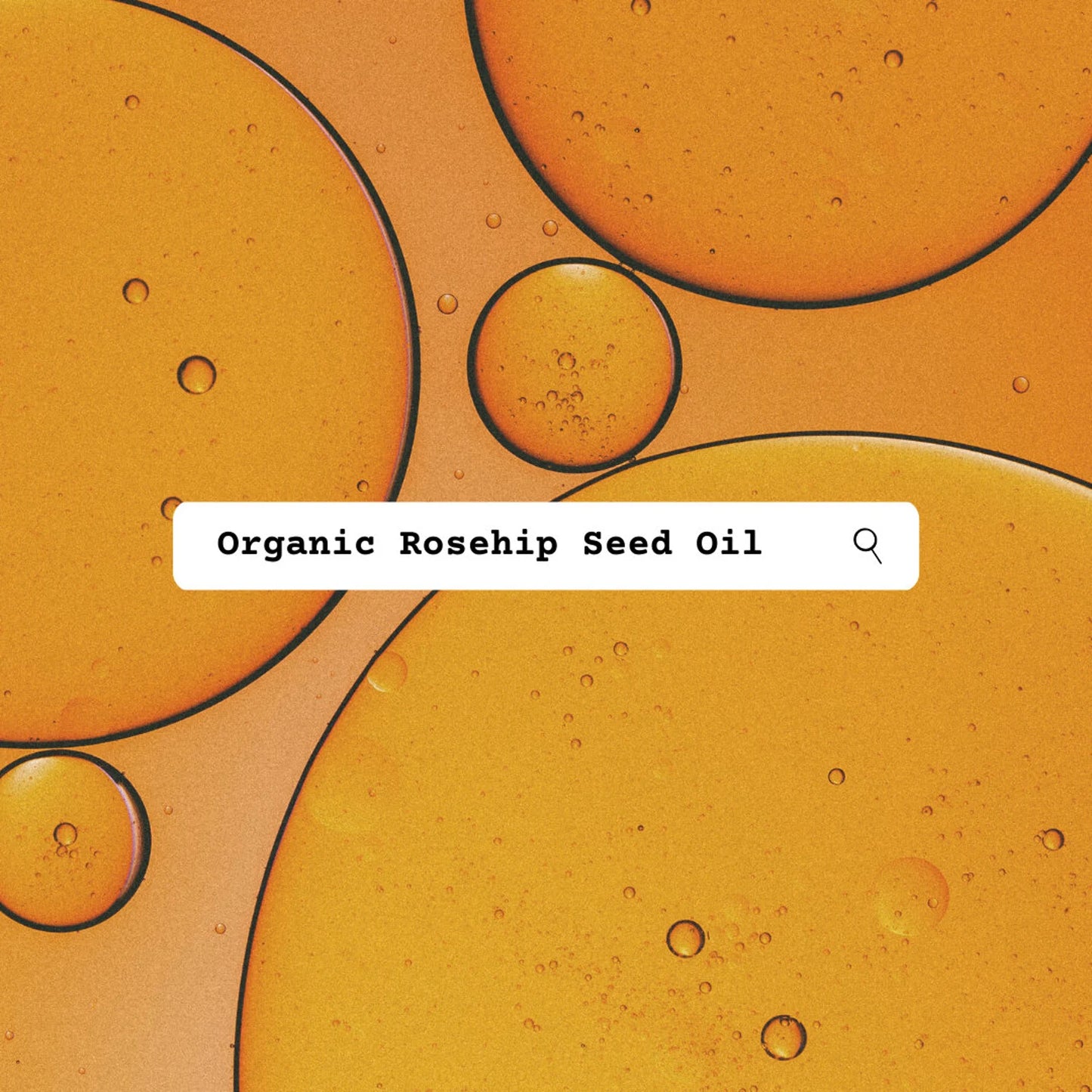 Brightening Vitamin C and Rosehip Daily Facial Moisturizer